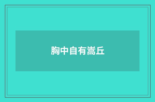 胸中自有嵩丘