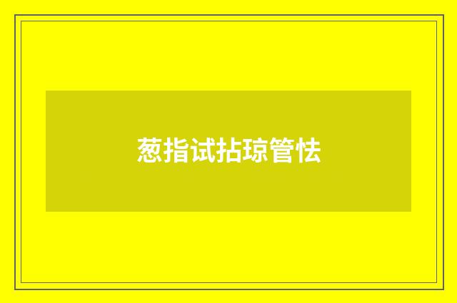 葱指试拈琼管怯