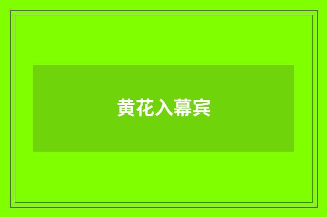 黄花入幕宾