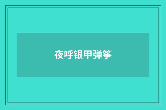 夜呼银甲弹筝