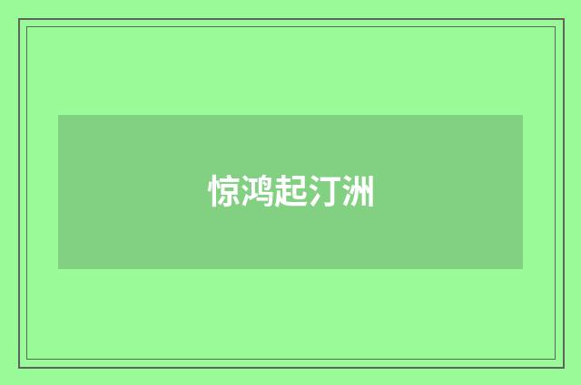 惊鸿起汀洲