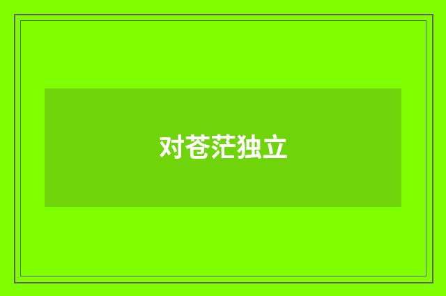 对苍茫独立