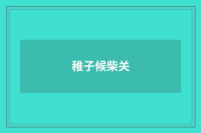 稚子候柴关