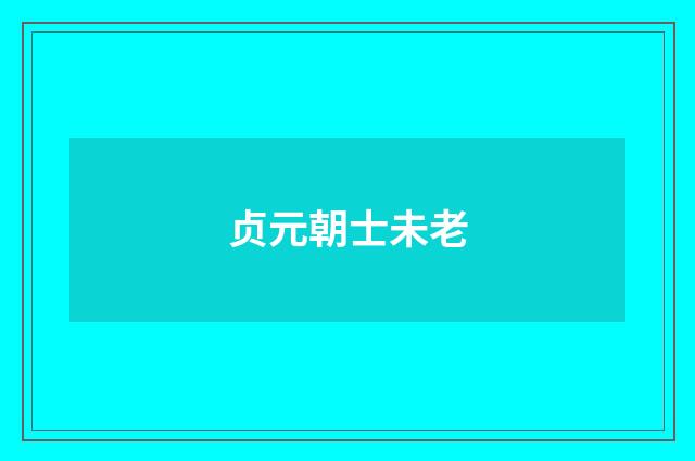 贞元朝士未老