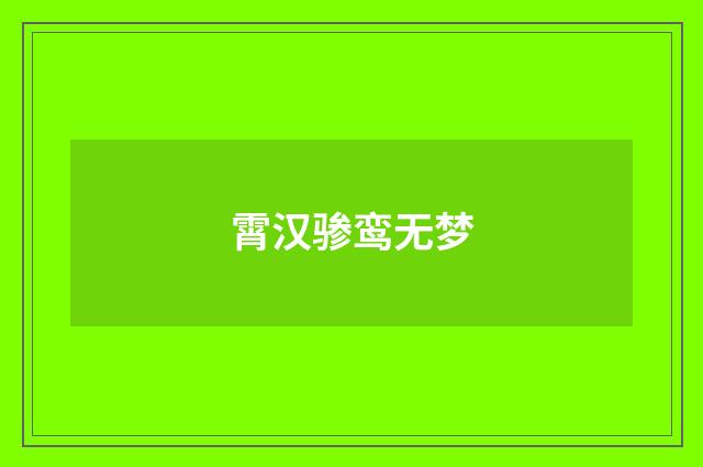 霄汉骖鸾无梦