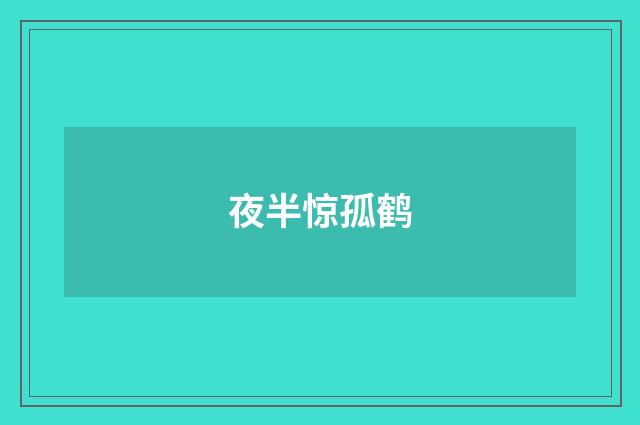 夜半惊孤鹤