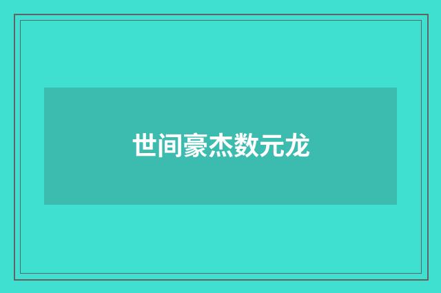 世间豪杰数元龙