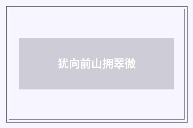 犹向前山拥翠微