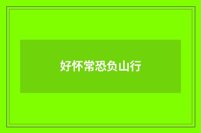 好怀常恐负山行