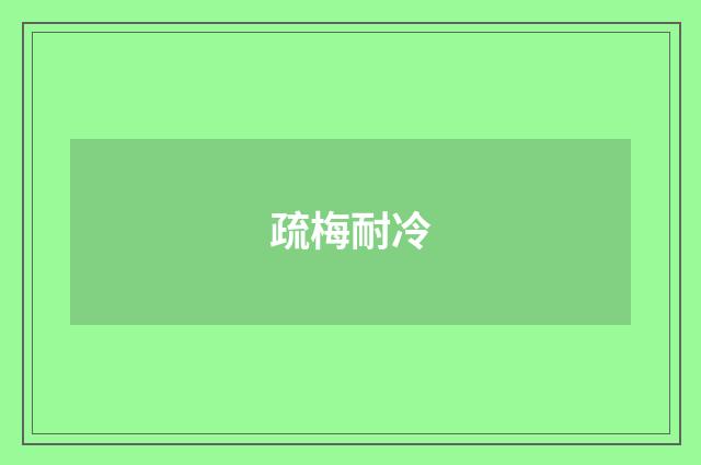 疏梅耐冷