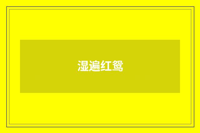 湿遍红鸳