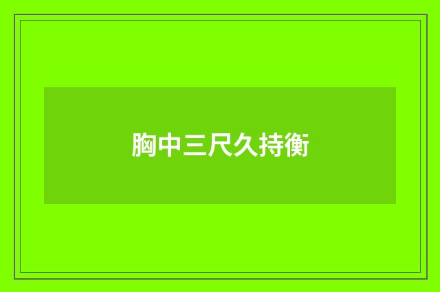 胸中三尺久持衡