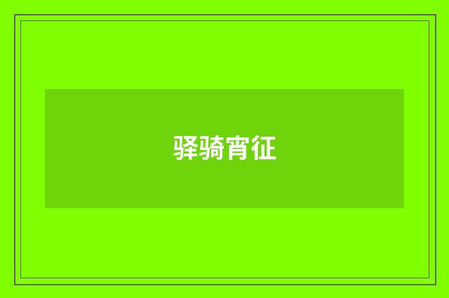 驿骑宵征