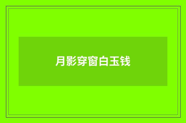 月影穿窗白玉钱