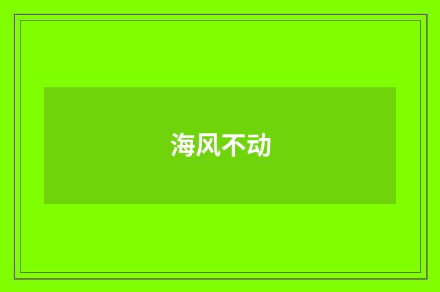 海风不动