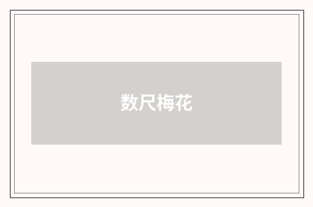 数尺梅花