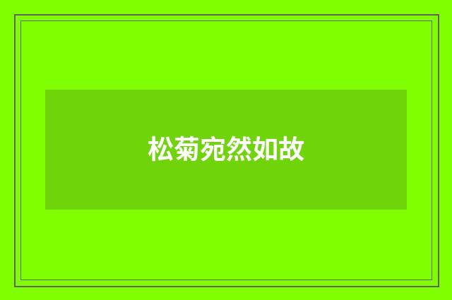 松菊宛然如故