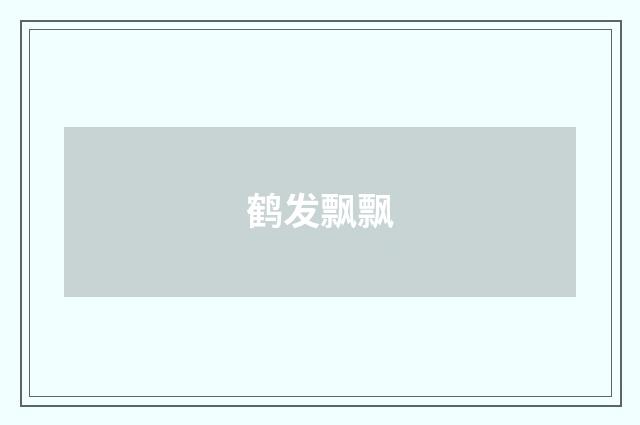 鹤发飘飘