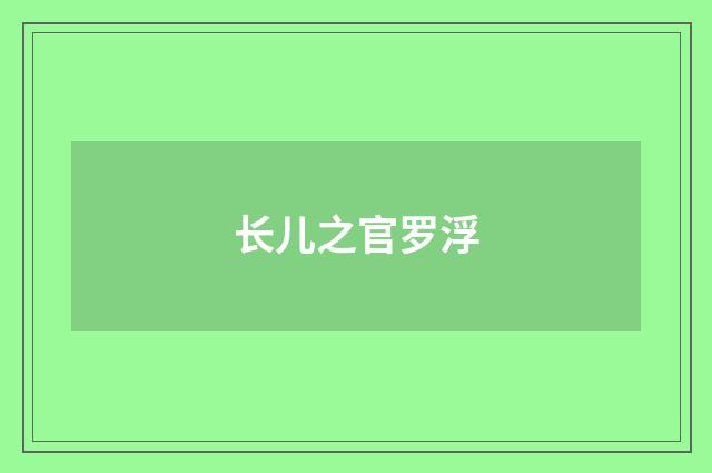 长儿之官罗浮
