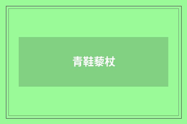 青鞋藜杖