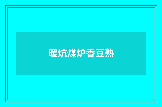 暖炕煤炉香豆熟