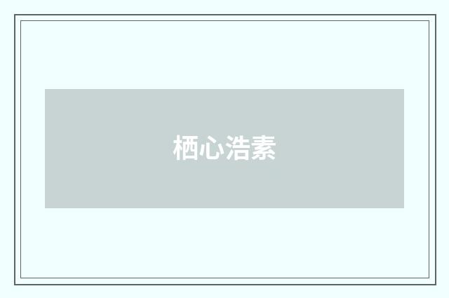 栖心浩素