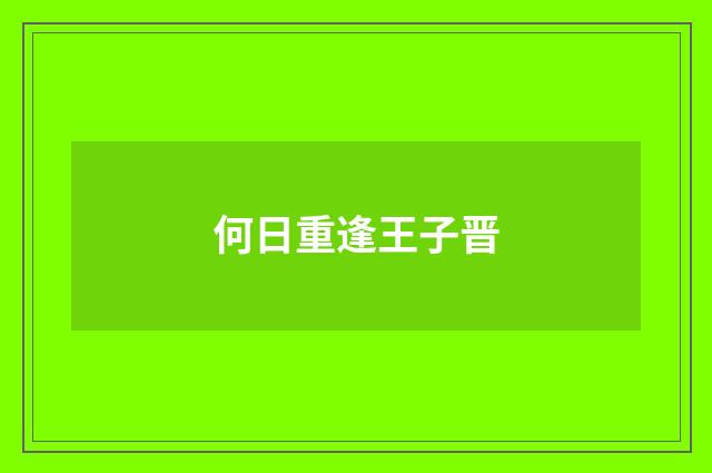 何日重逢王子晋