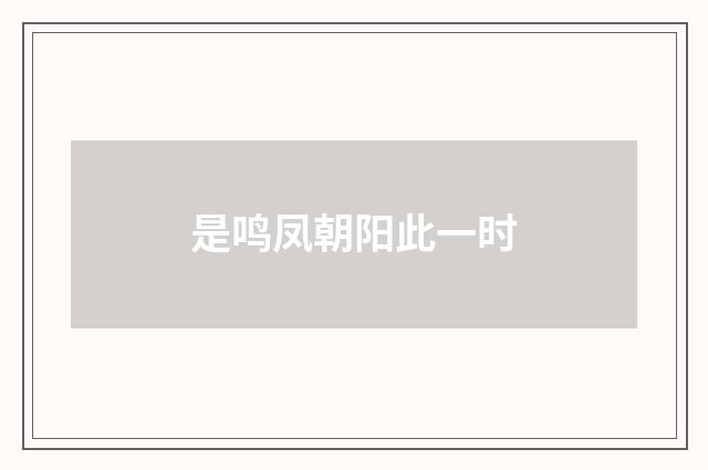 是鸣凤朝阳此一时