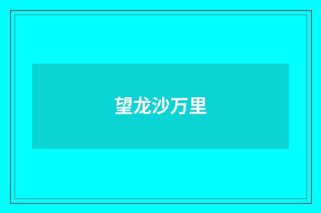 望龙沙万里