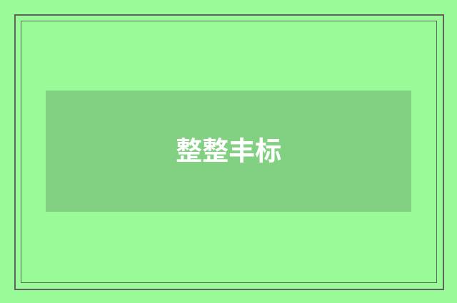 整整丰标