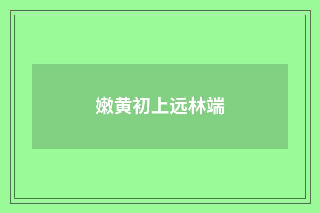 嫩黄初上远林端