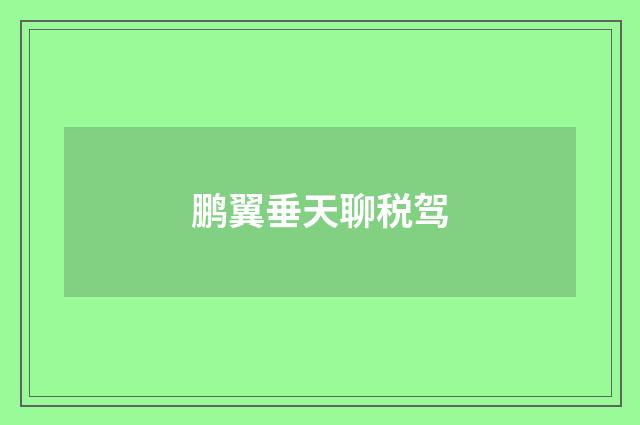 鹏翼垂天聊税驾