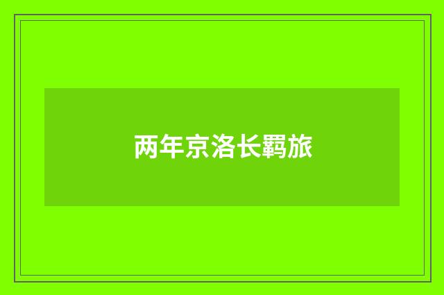 两年京洛长羁旅
