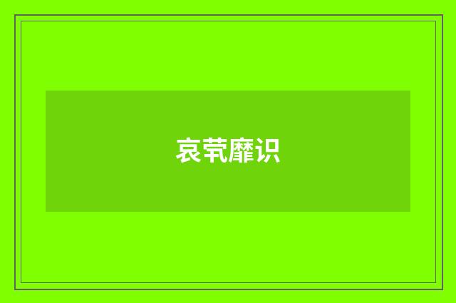哀茕靡识