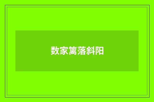数家篱落斜阳