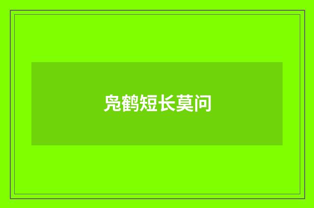 凫鹤短长莫问