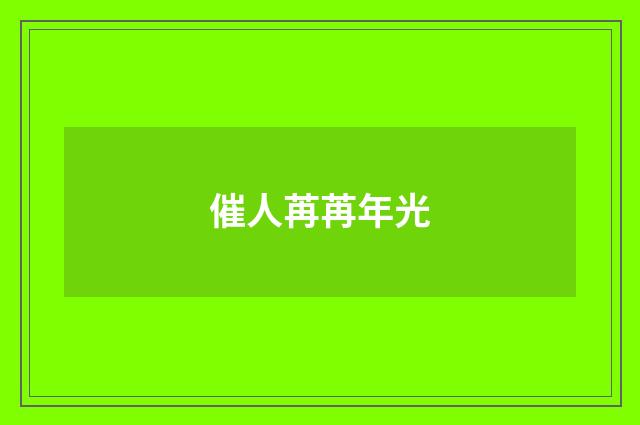 催人苒苒年光