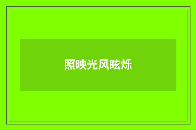 照映光风眩烁