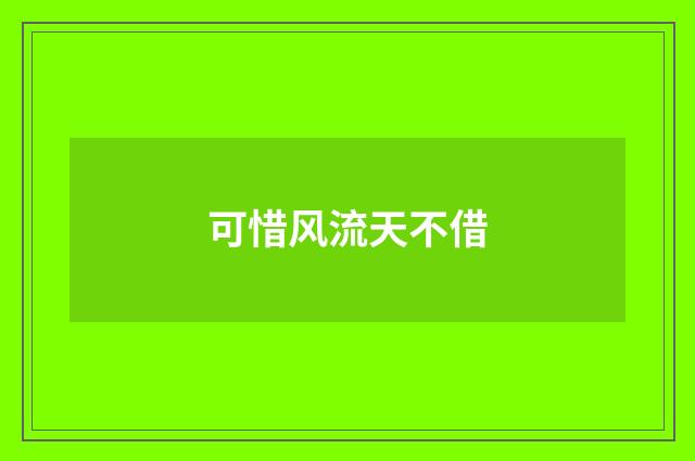 可惜风流天不借