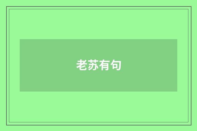 老苏有句