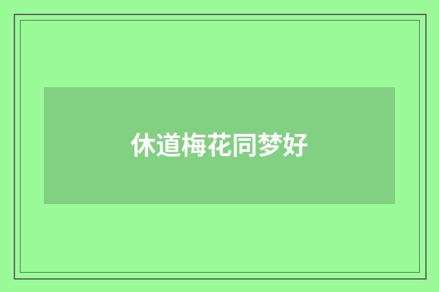 休道梅花同梦好