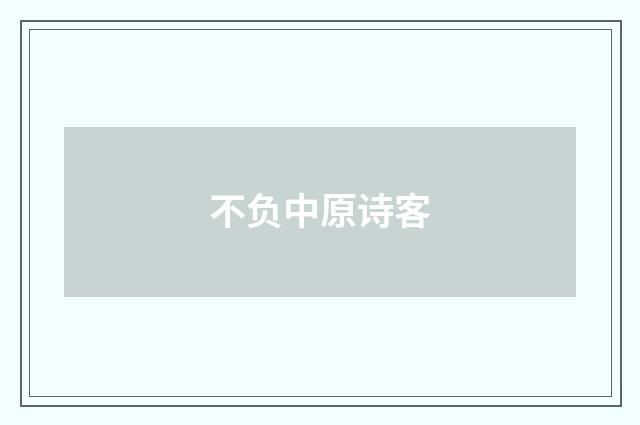不负中原诗客