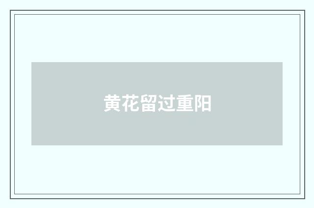 黄花留过重阳