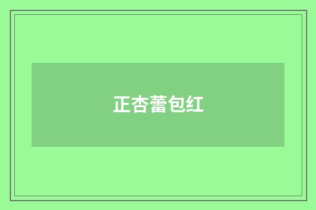 正杏蕾包红