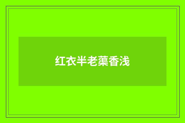 红衣半老蕖香浅