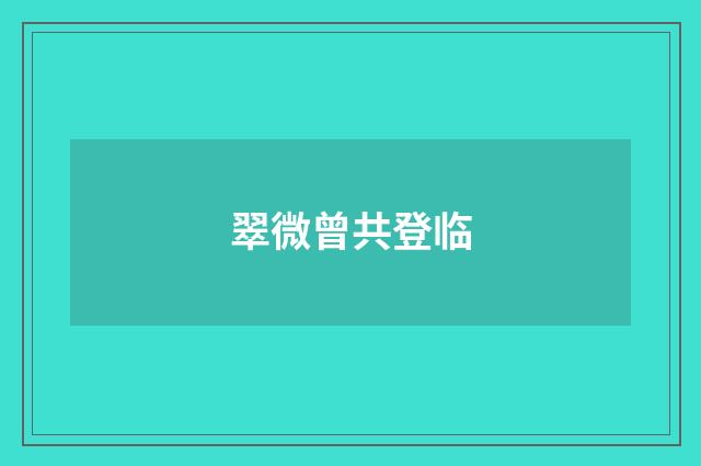 翠微曾共登临