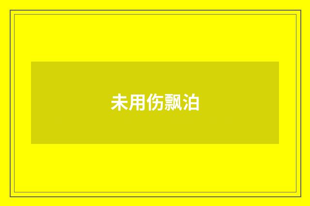 未用伤飘泊