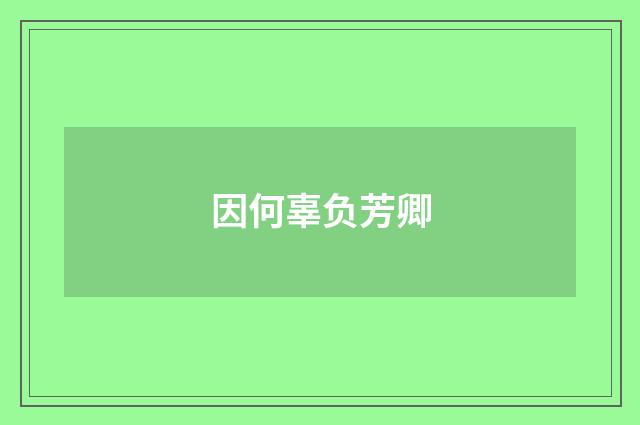 因何辜负芳卿