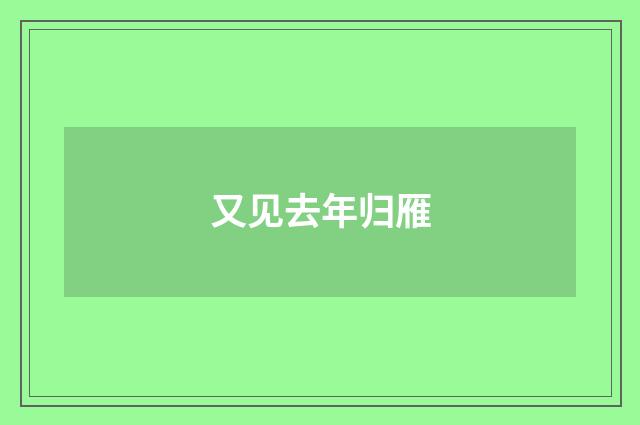 又见去年归雁