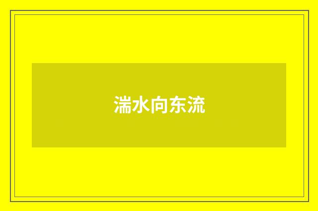 湍水向东流